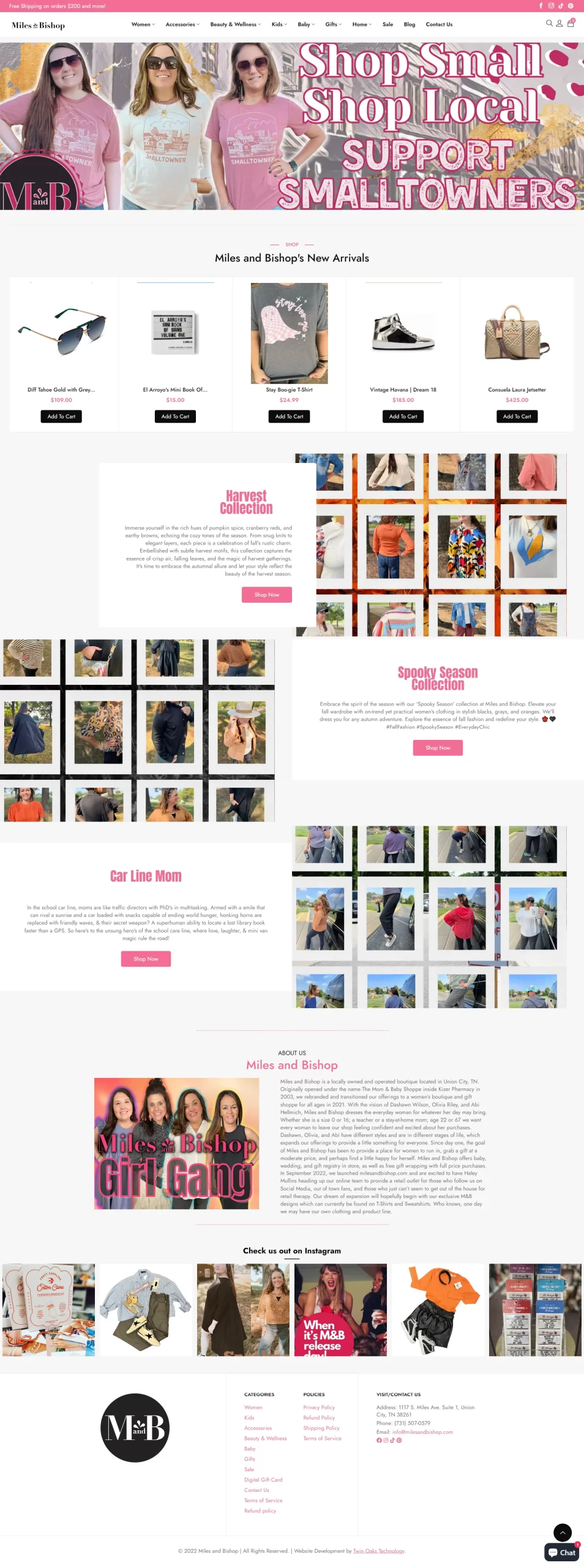 Website Development preview image 2